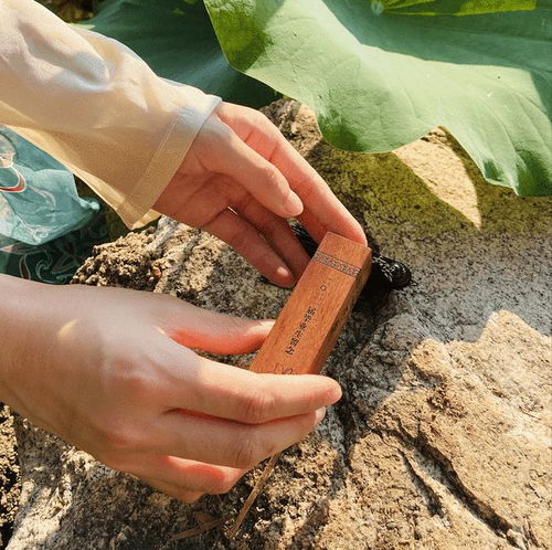 廣州軟件學(xué)院致2021屆畢業(yè)生 一份承載時(shí)光與未來的專屬禮物，請(qǐng)查收